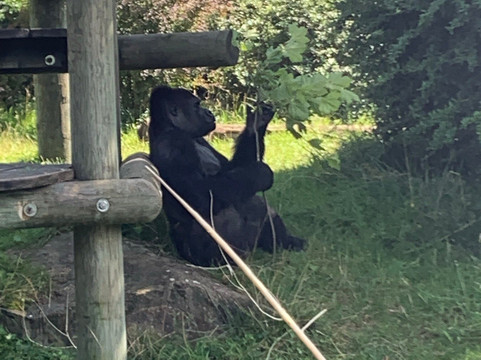 Zoo Opole-Opole必去景点