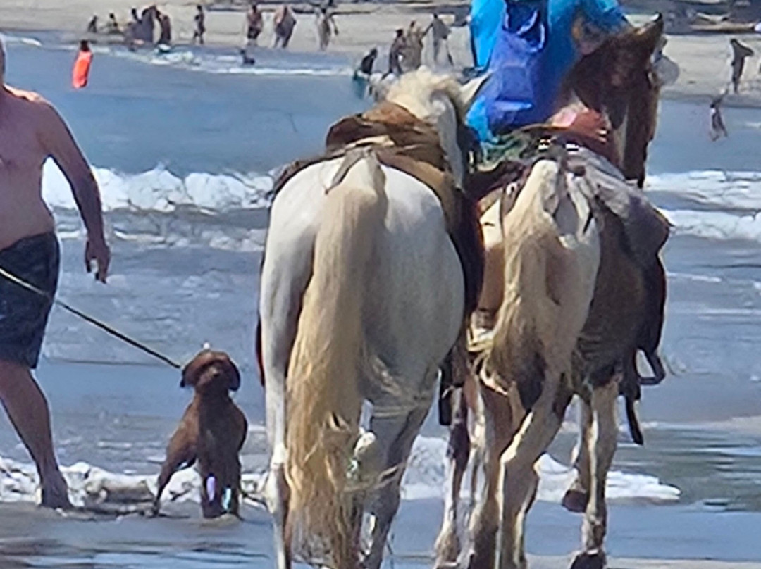 Buddha Brothers Vacation Planning-哥斯达黎加安东尼奥国家公园必去景点