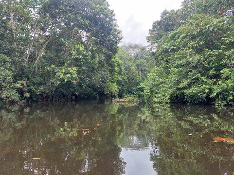 Raft Amazonia-Tena必去景点