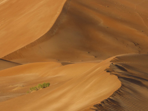 Arabian Sands Tours Oman-塞拉莱必去景点