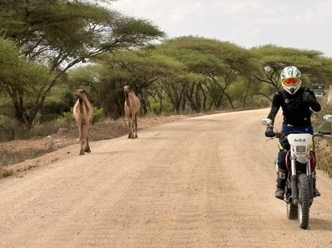 Aventure Safaris-蒙巴萨必去景点