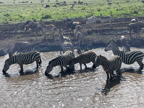 Ajabu Adventures Ltd - Day Tours-阿鲁沙必去景点