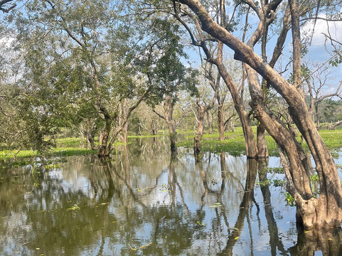 Simply Ceylon Tours-康提必去景点