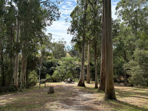 Agnes Falls-Hazel Park必去景点