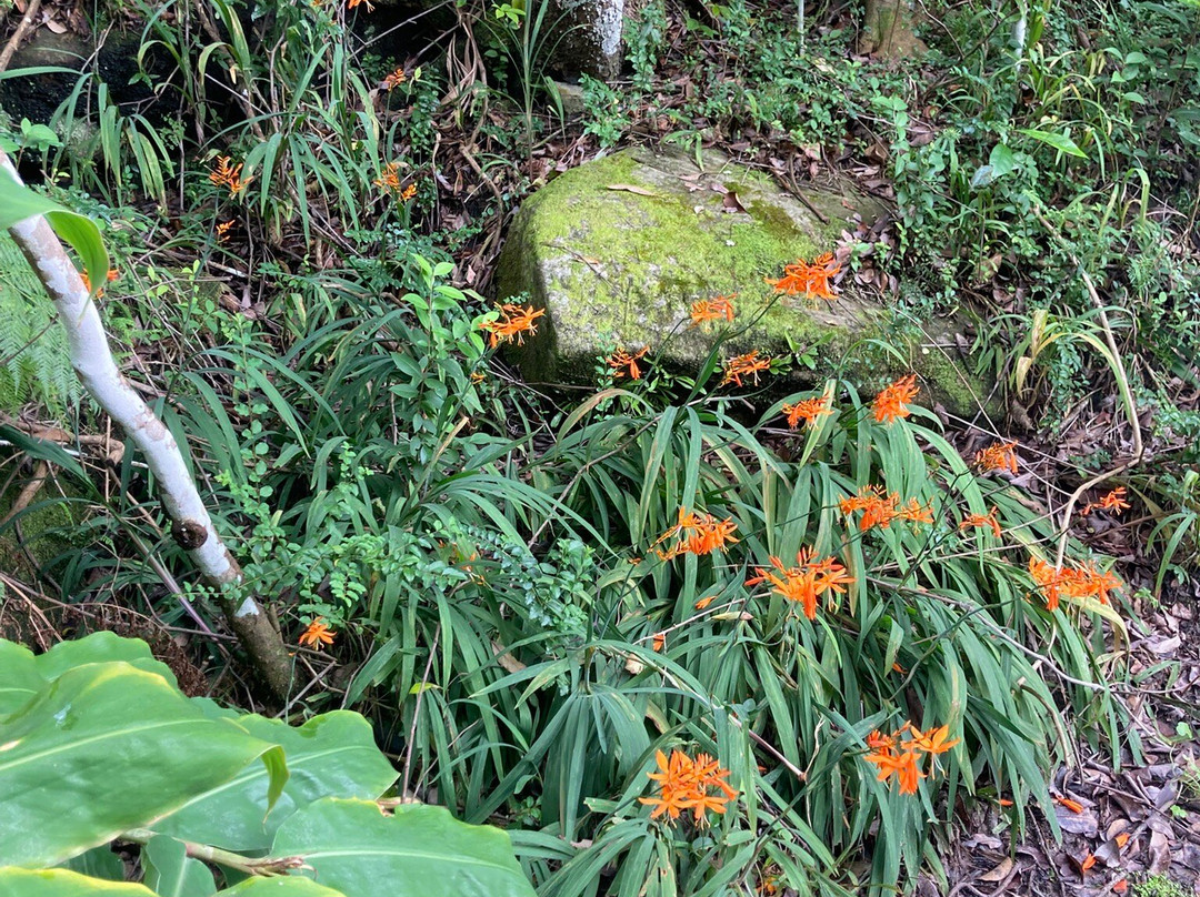 悉尼湾国家公园-莫斯曼必去景点