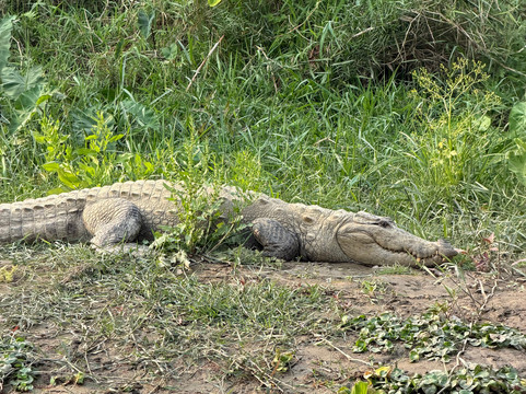 奇旺韦斯滕德索尔蒂度假村主图