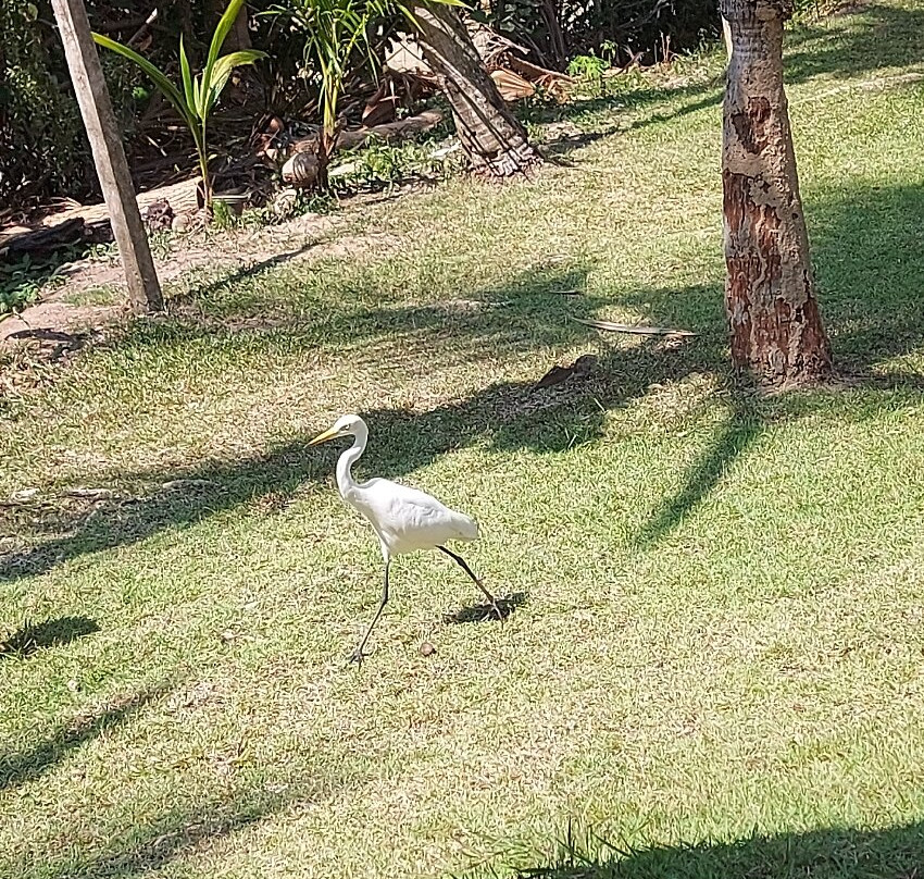 甲米金沙度假村主图