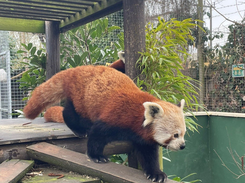 Shepreth Wildlife Park-Shepreth必去景点
