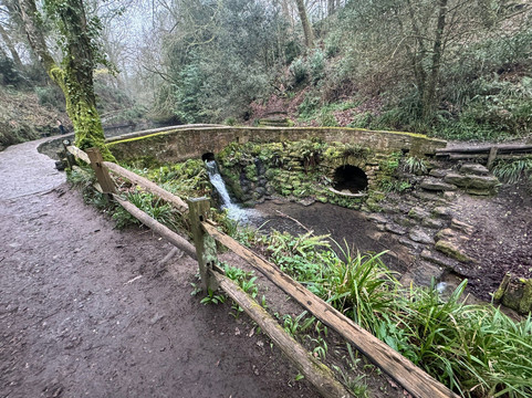 Ninesprings Country Park-约维尔必去景点