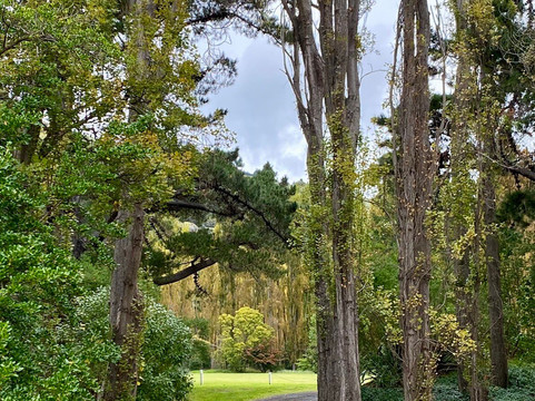 Akaroa's Eastern Bays Scenic Mail Run-阿卡罗阿必去景点