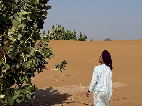 My Sahara Trek-迈哈米德必去景点