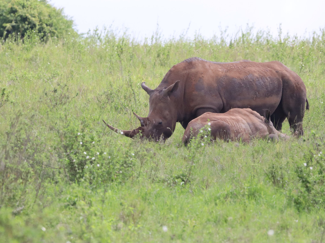 Siraam Tours and Travels-内罗毕必去景点