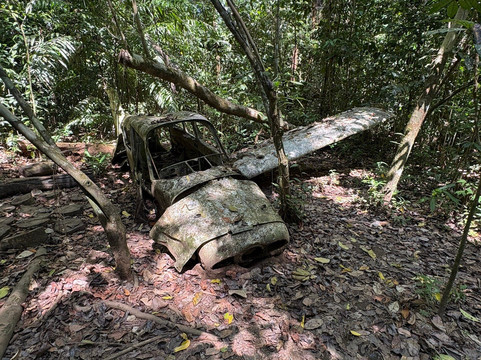 La Perla del Sur Adventures-Sierpe必去景点