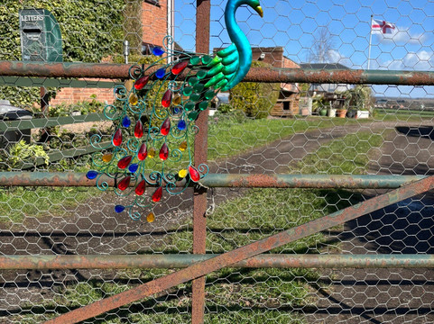 Peacocks Uk-Kempsey必去景点