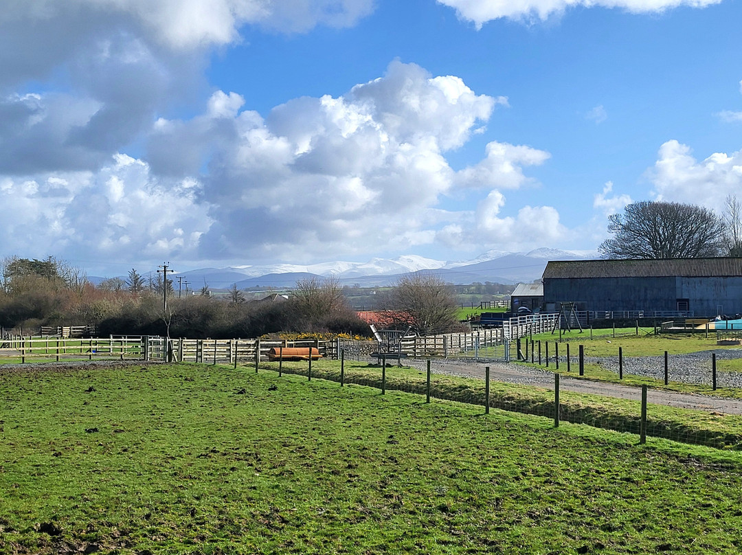 Foel Farm Park-Brynsiencyn必去景点