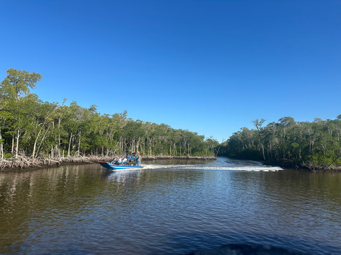 Everglades City Airboat Tours-大沼泽地必去景点