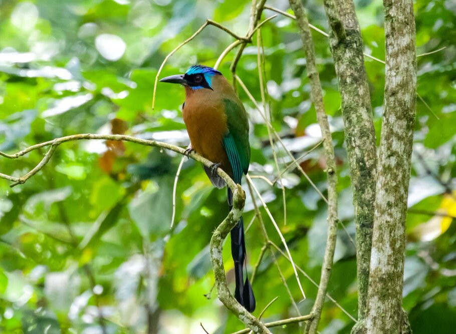 Eureka Natural History Tours-斯卡伯勒必去景点