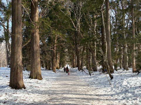 户隐神社-长野县必去景点