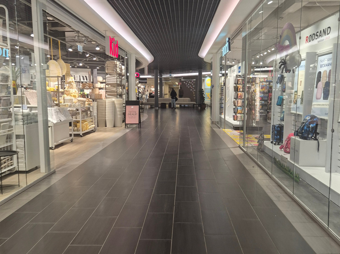 Lofosenteret Shopping Mall-莱克内斯必去景点