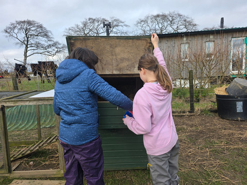 Bowbridge Alpacas Scotland-Peat Inn必去景点