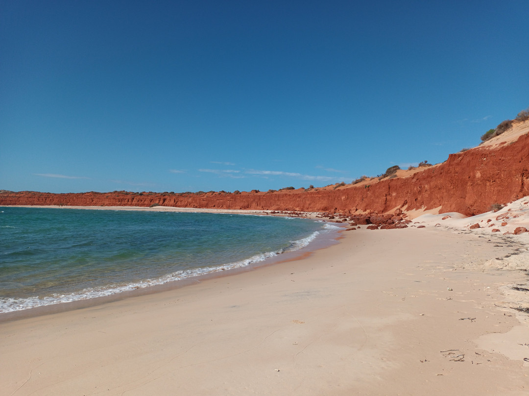 Wildsights-德纳姆必去景点