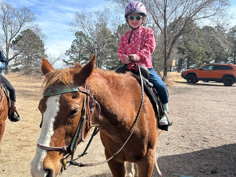 Christine's Horseback Riding-卡尼必去景点