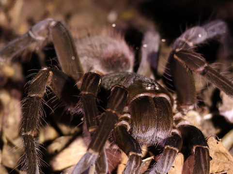 Manuel Tour Guide-卡维塔必去景点