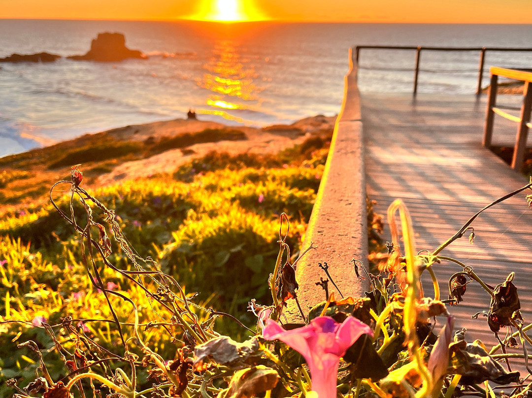 Praia de Zambujeira do Mar-Zambujeira do Mar必去景点