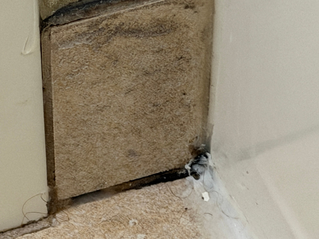 埃芬汉假日酒店主图