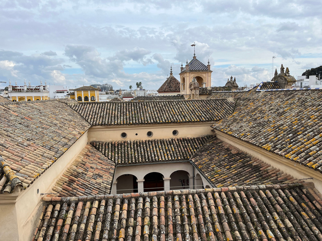 Tour Andalucia-马拉加必去景点