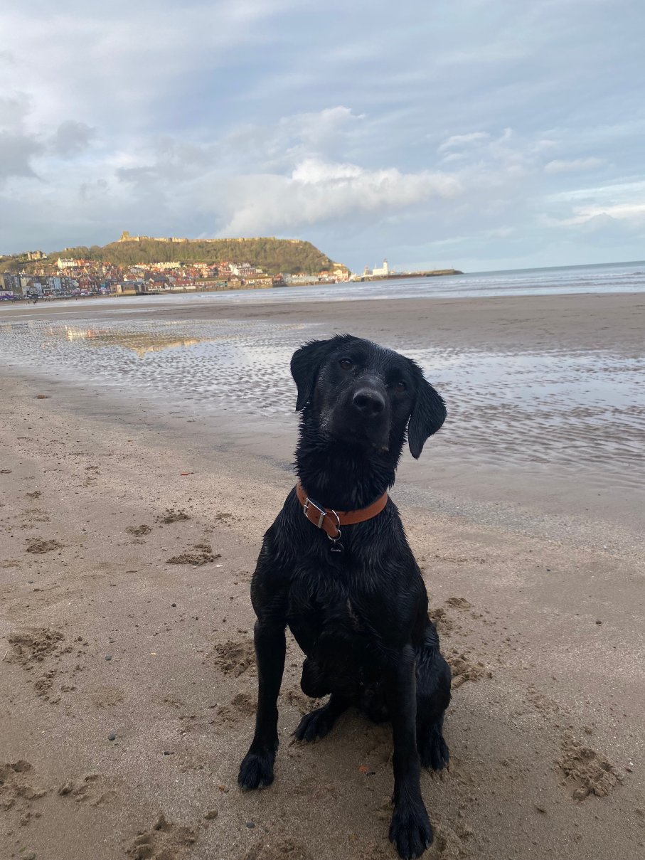 庄园宅邸酒店-泳池