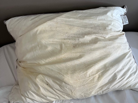 法尔肯堡酒店主图