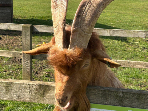 科茨沃尔德农场公园-Kineton必去景点