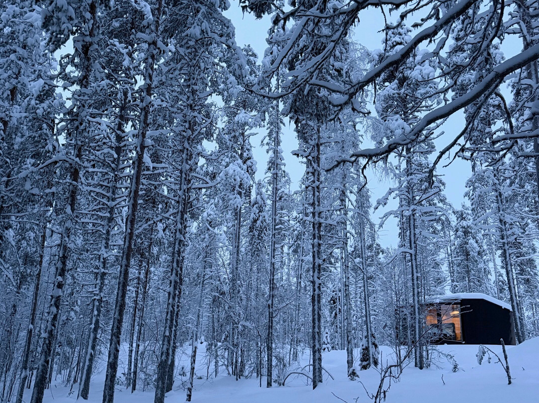 Balder Luxury Lodge & Glass Igloos