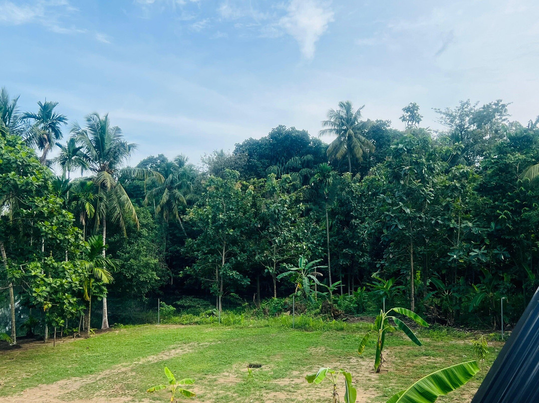 Aliya Lake Forest Cabana