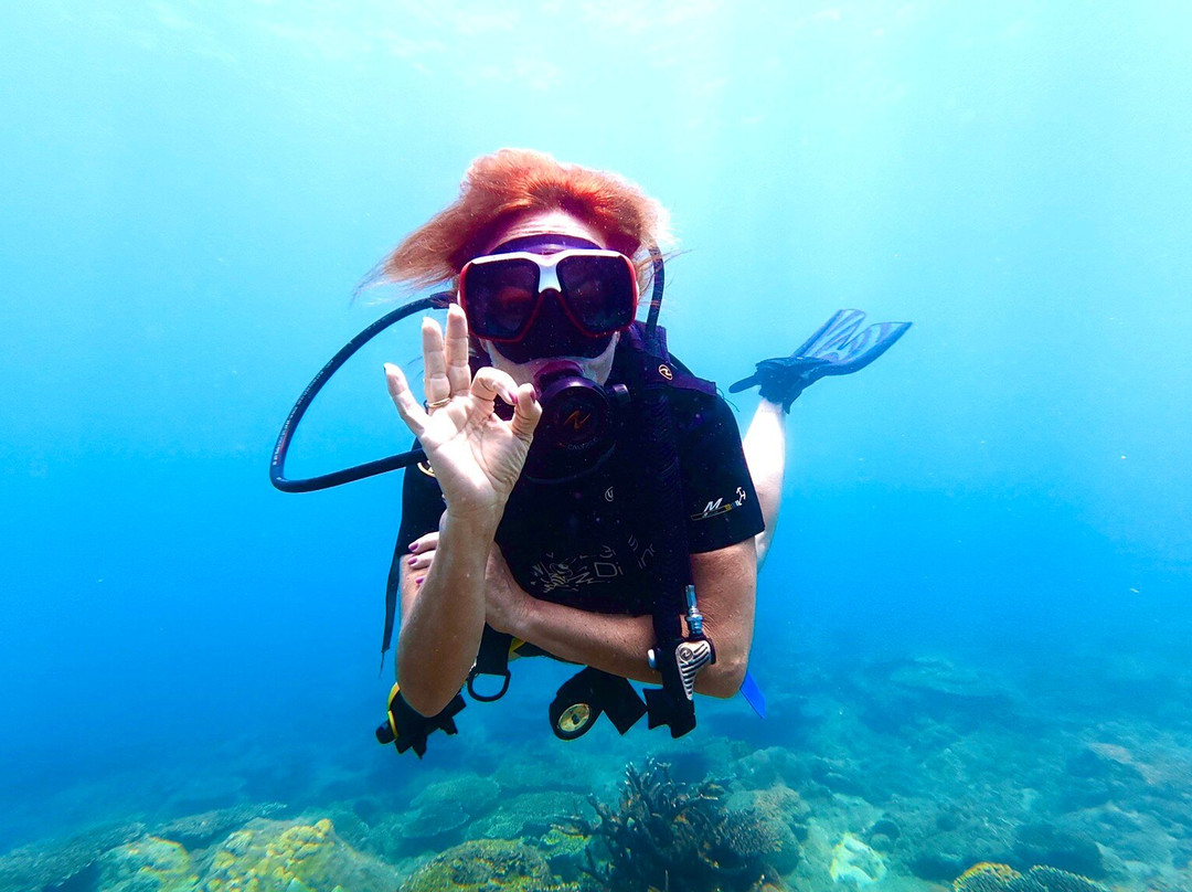 Sea Bees Diving Khao Lak - Day Tours-拉克山必去景点