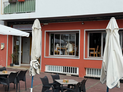 The Influencer主图