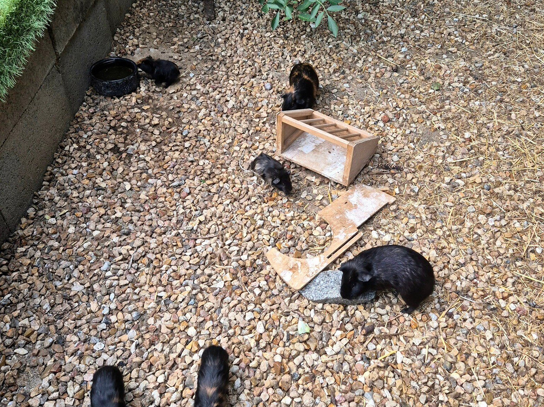 Agri'KIDS-Jarze必去景点