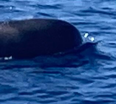 Tina Excursiones-Valle Gran Rey必去景点