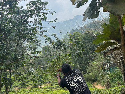 Steplanka Tours-尼甘布必去景点