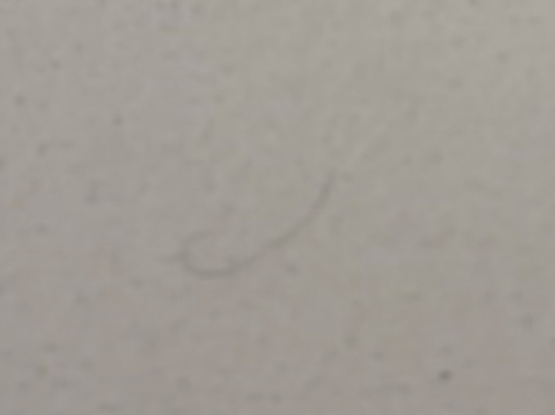 Eikre Fjellgård主图