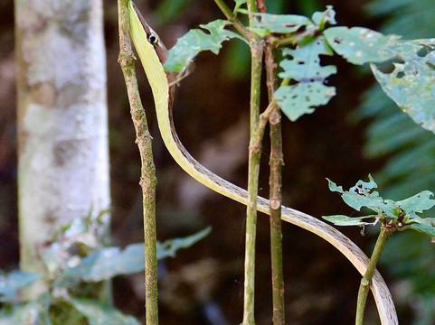 0S3 Private Tours-哈科必去景点