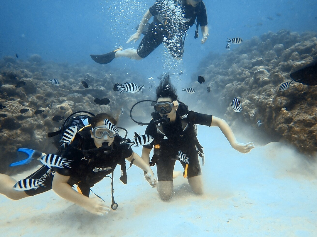 Dive Spirit Mauritius-卓欧毕雪必去景点