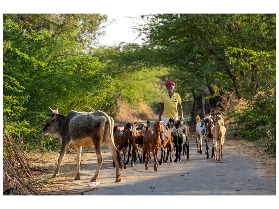 SIA Photo Tours-海德拉巴必去景点