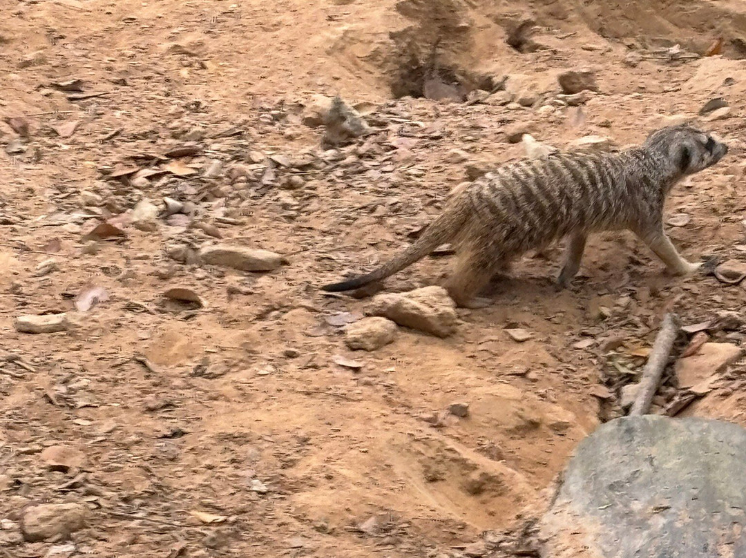 珍珠王国野生动物园-富国岛必去景点