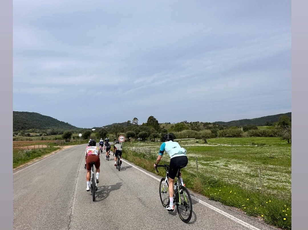 Paradise Cycling Tours-Alte必去景点