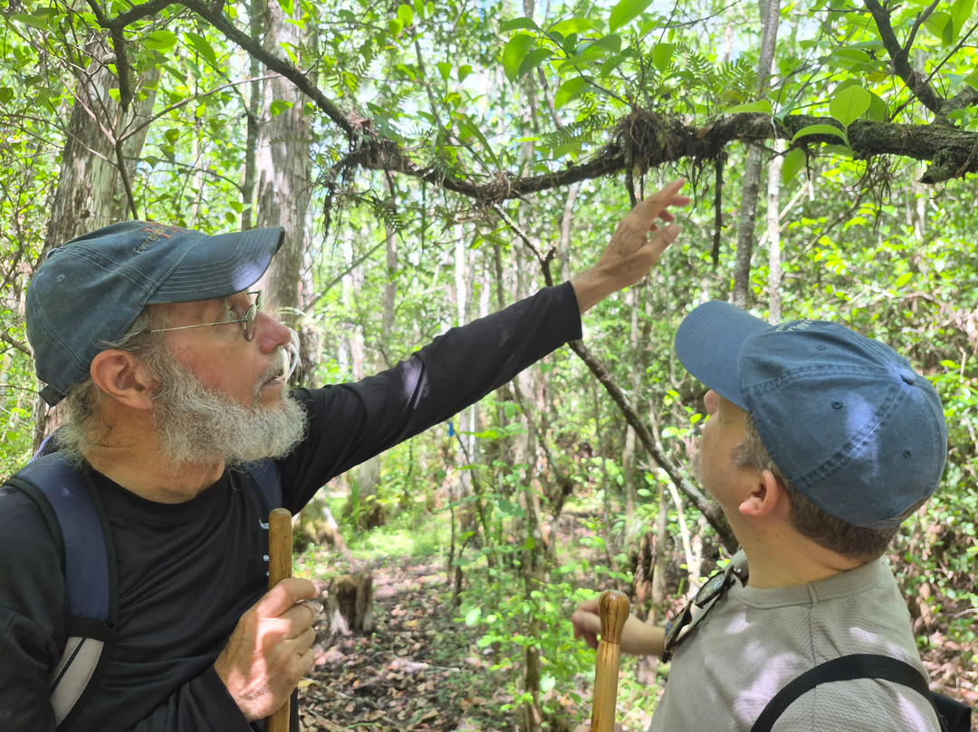 Clyde Butcher's Big Cypress Gallery-奥乔皮必去景点