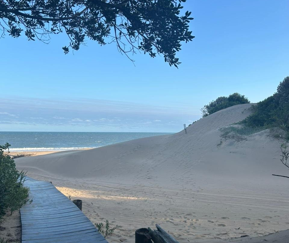 Mtunzini Beach-马图纪尼必去景点