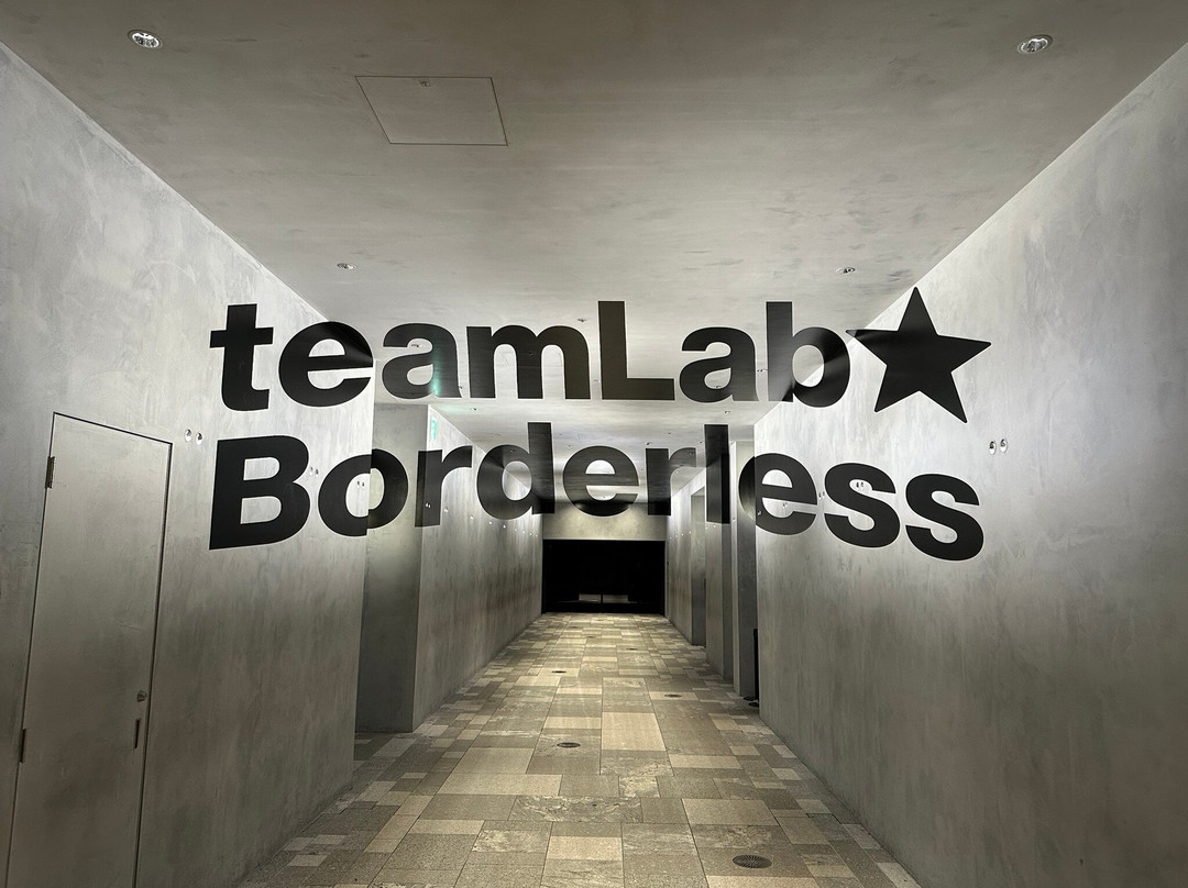 Teamlab Borderless Tokyo-港区必去景点