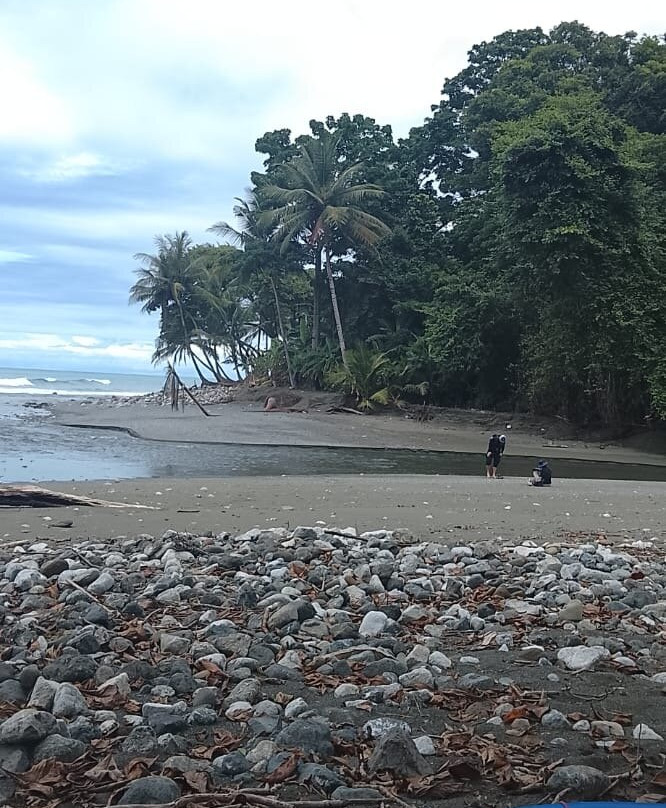 Corcovado Guia CR-希门尼斯港必去景点